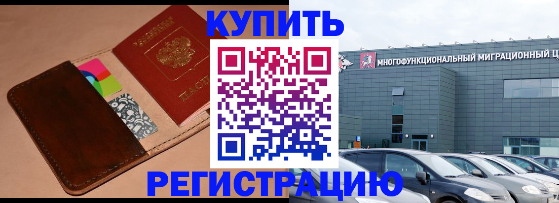 прописка поиск в Тайшете